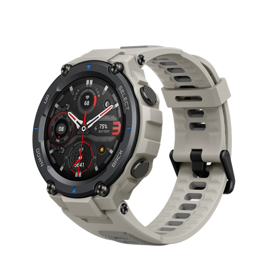 Amazfit T-Rex Pro Desert Grey