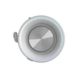 Honor Choice Bluetooth Speaker Pro white