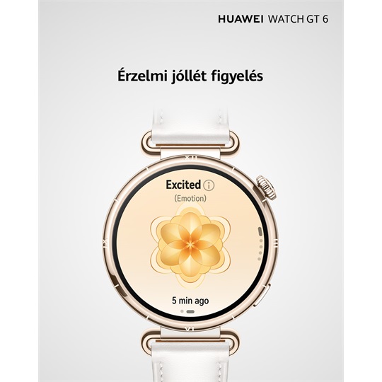 Huawei Watch GT6, 41mm Purple