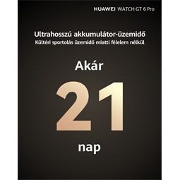 Huawei Watch GT6 Pro 46mm Brown