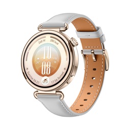 Huawei Watch GT7 41mm Grey
