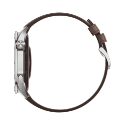 Huawei Watch GT 4, 46mm, Brown