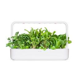 Saláta zöldmix növénykapszula 9 db