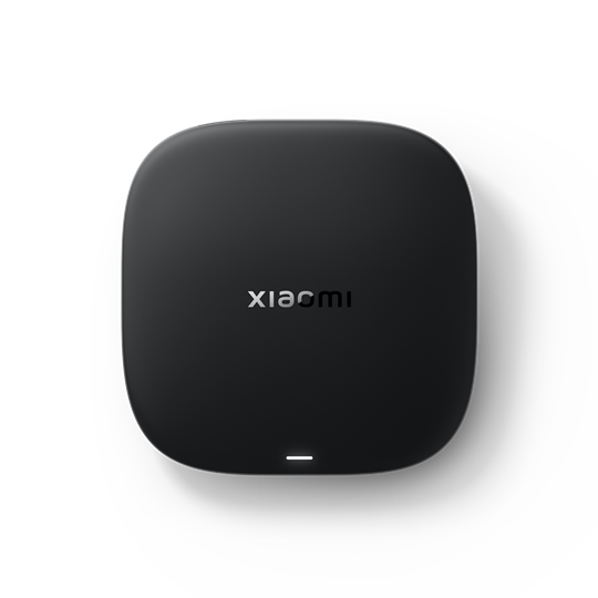 Xiaomi TV Box S (3rd Gen)  EU / PFJ4191EU