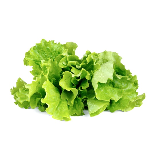 Zöld saláta növénykapszula 3 db