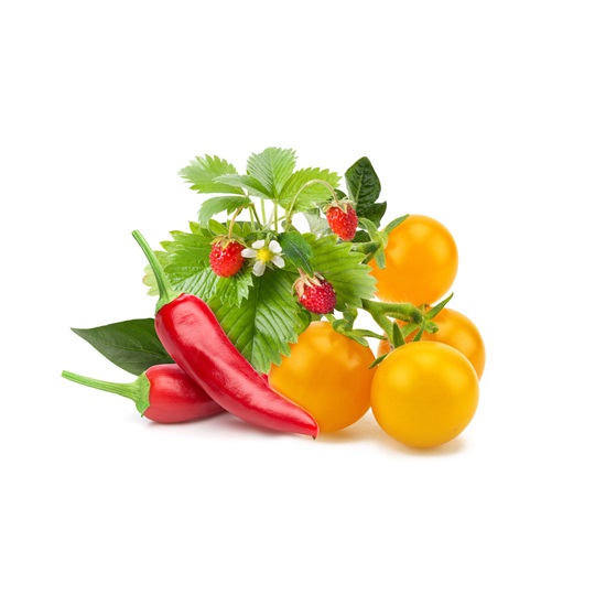 Zöldség-gyümölcs Mix növénykapszula 9 db
